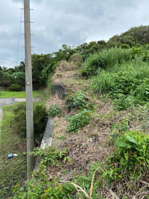 Land for Sale in Oshima, Tokyo - 1156 sqm Retreat Plot - Thumbnail 2