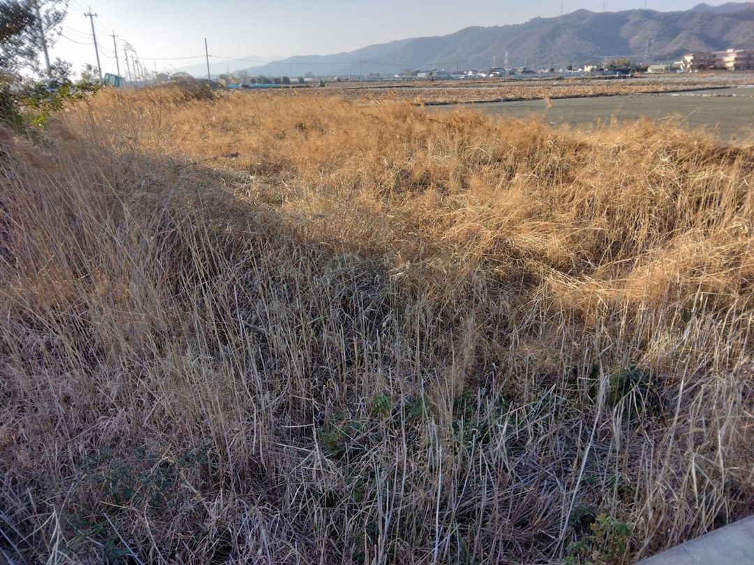 Agricultural Land for Sale in Naruto, Tokushima - 756 sqm - Thumbnail 2