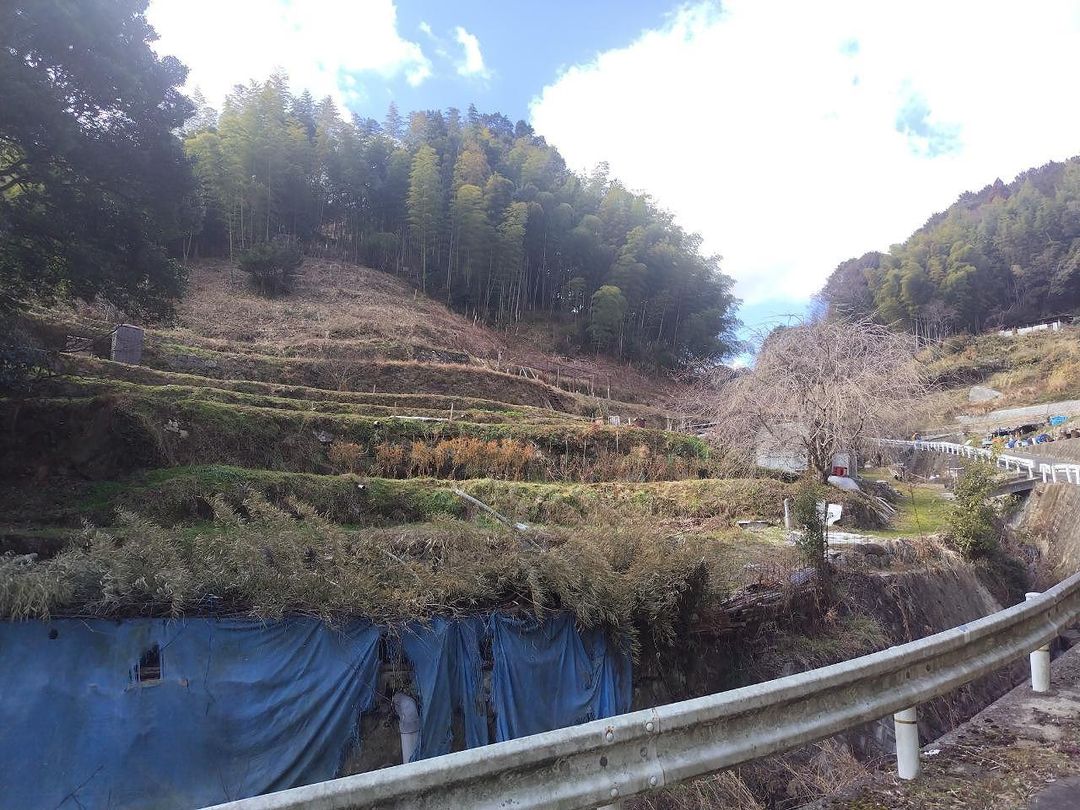 Agricultural Land for Sale in Ibaraki, Osaka - 5383 sqm - Thumbnail 4