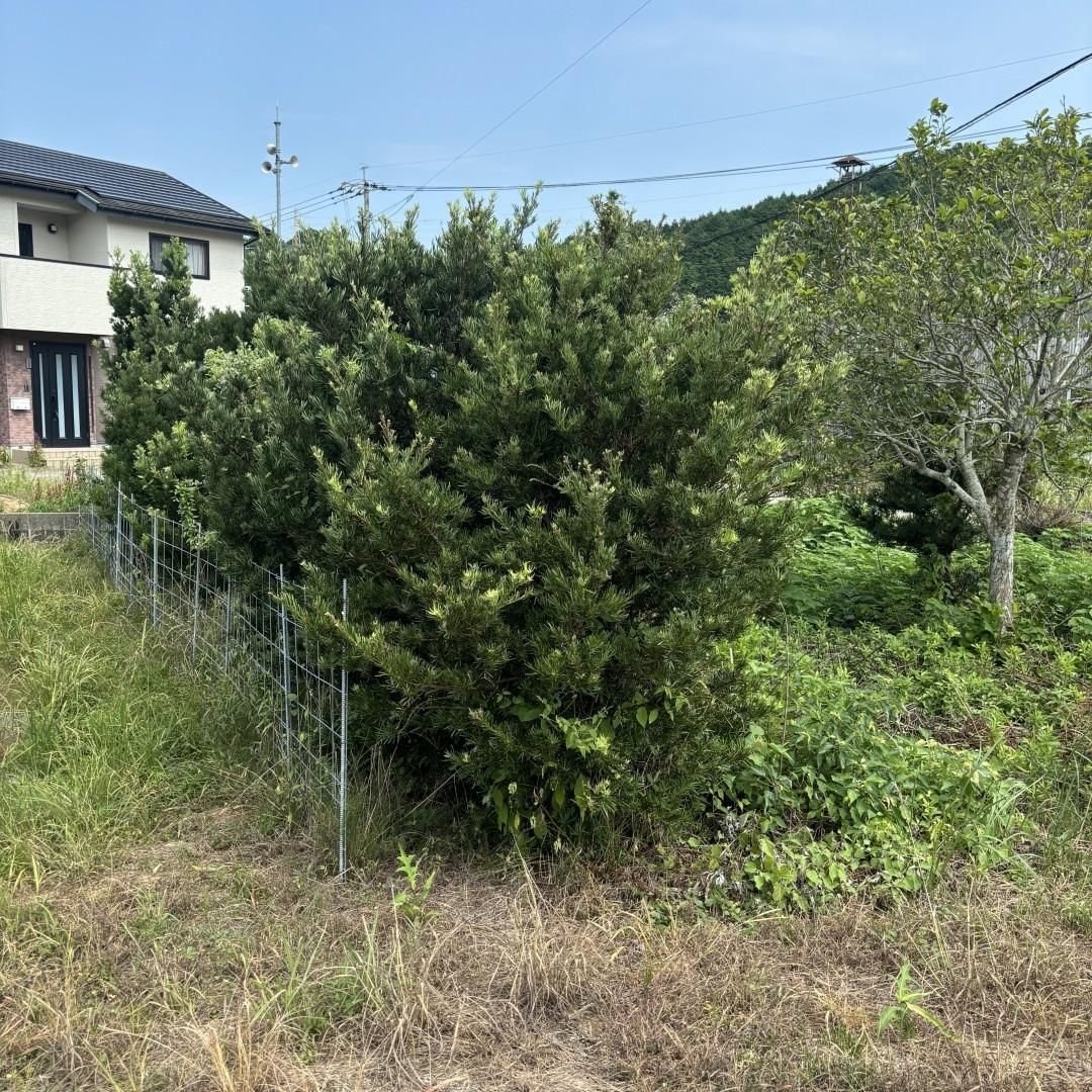 Parking Lot Land for Sale in Imari, Saga Prefecture - Thumbnail 2