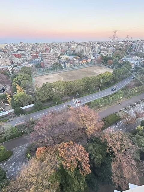 Refurbished 3LDK Apartment in Edogawa, Tokyo with Disney & Fuji Views - Thumbnail 4