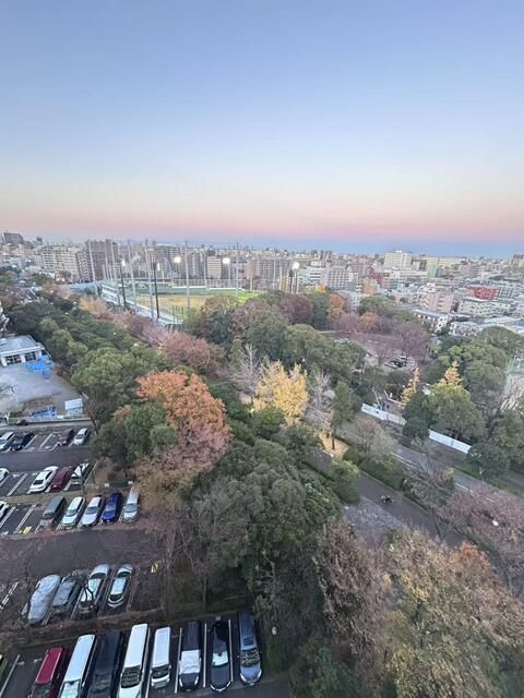 Refurbished 3LDK Apartment in Edogawa, Tokyo with Disney & Fuji Views - Thumbnail 3