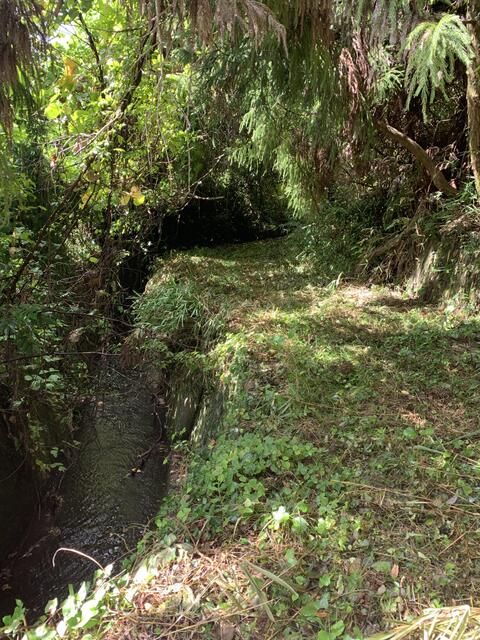 Agricultural Land for Sale in Kinokawa, Wakayama - 1448 sqm - Thumbnail 3