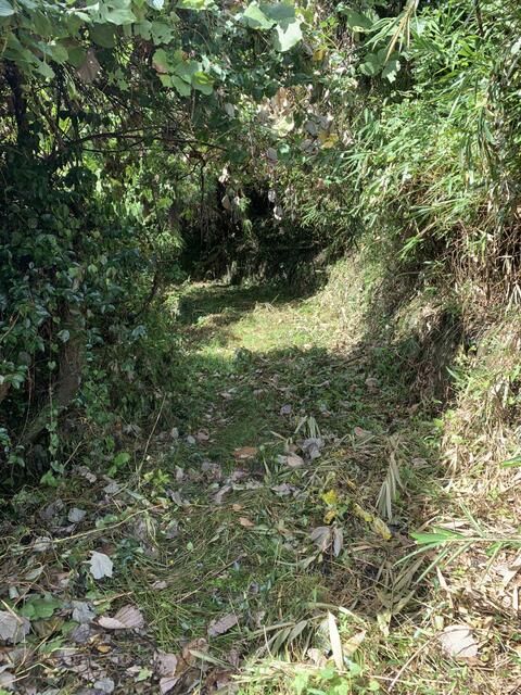 Agricultural Land for Sale in Kinokawa, Wakayama - 1448 sqm - Thumbnail 4