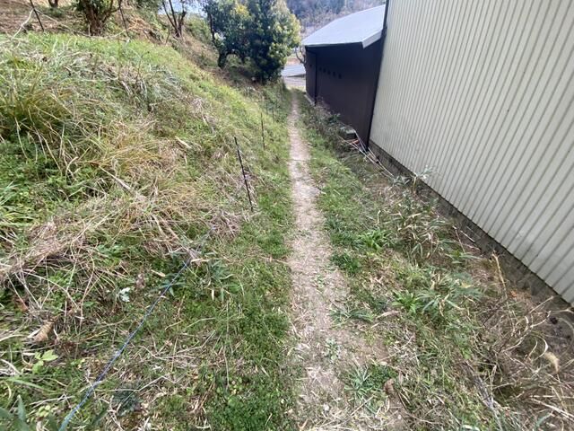 Agricultural Bamboo Grove Land in Wakayama - Thumbnail 3