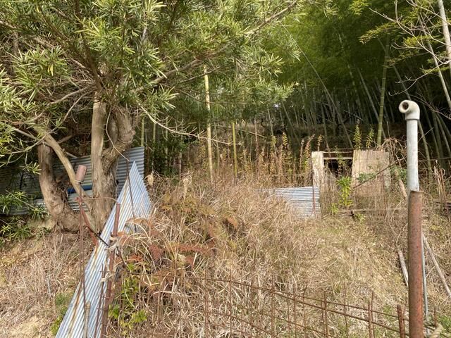 Agricultural Bamboo Grove Land in Wakayama - Thumbnail 4