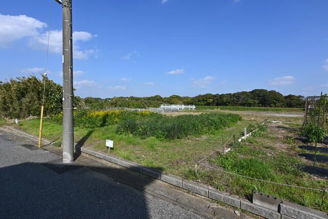 113 sqm Family Garden Land for Sale in Yokoshibahikari, Chiba - Thumbnail 2