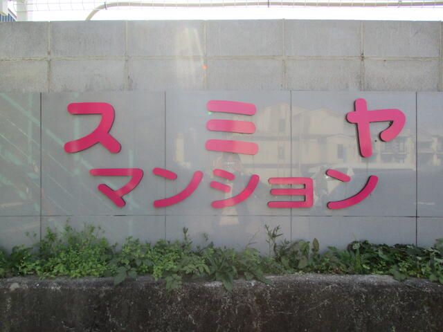 Secure 1R Apartment for Rent in Quiet Kainan-cho, Osaka - Thumbnail 4