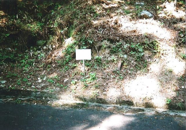 Vacant Forest Land for Sale in Shirakawa, Gifu - 251 sqm - Main Image