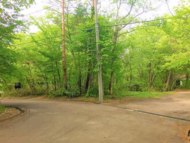 Vacant Forest Land for Sale in Fukushima City - Ideal Vacation Home Plot - Thumbnail 3