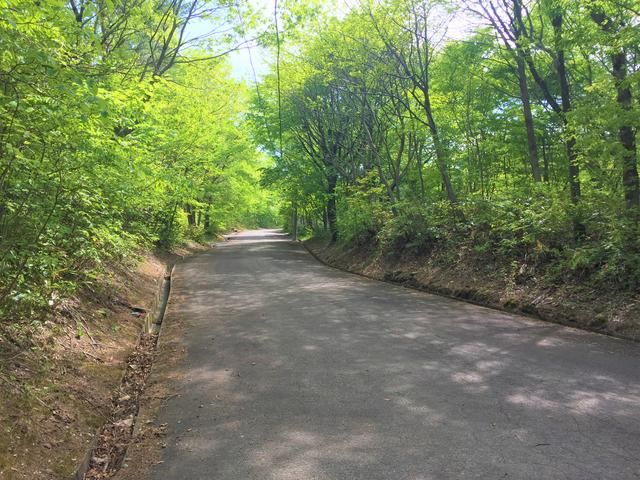 Vacant Forest Land for Sale in Fukushima City - Ideal Vacation Home Plot - Thumbnail 2