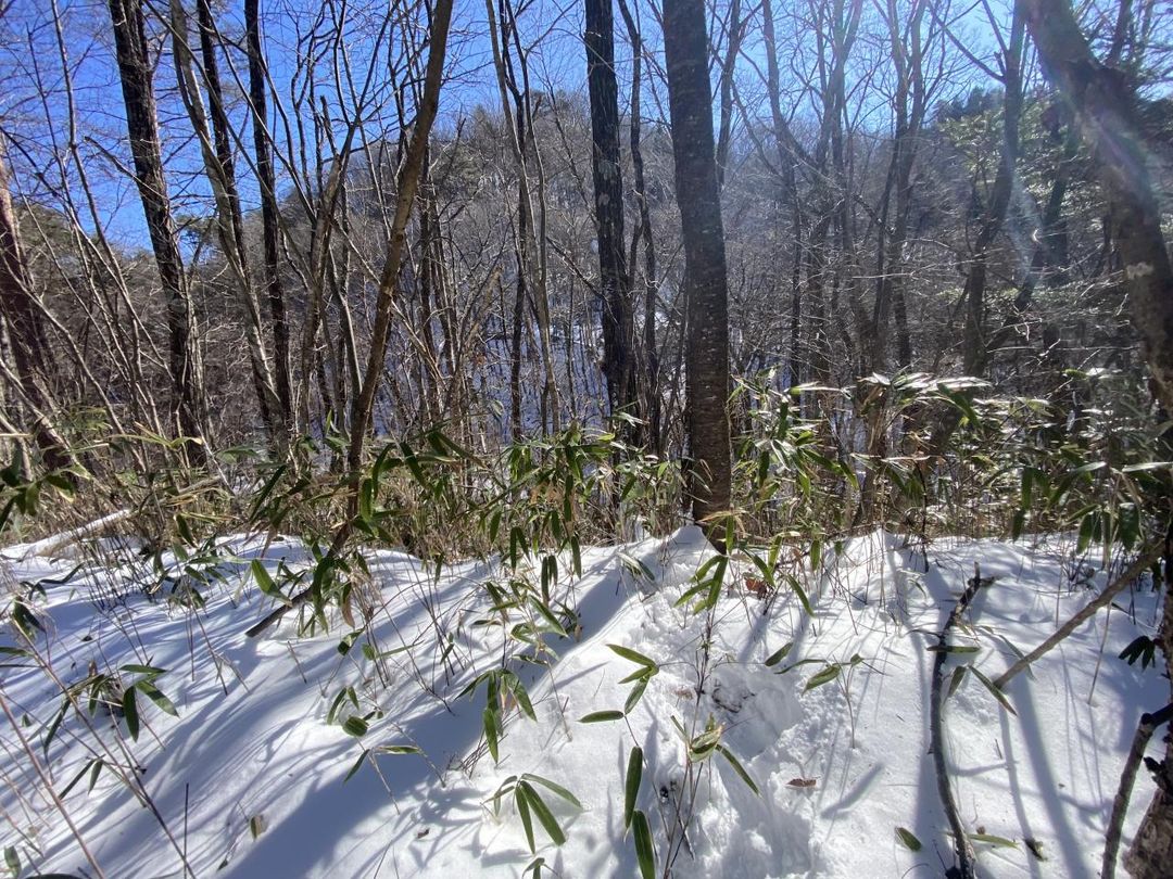 Free Land in Kiso Town Nagano - 302.5 Tsubo Villa Plot - Thumbnail 2