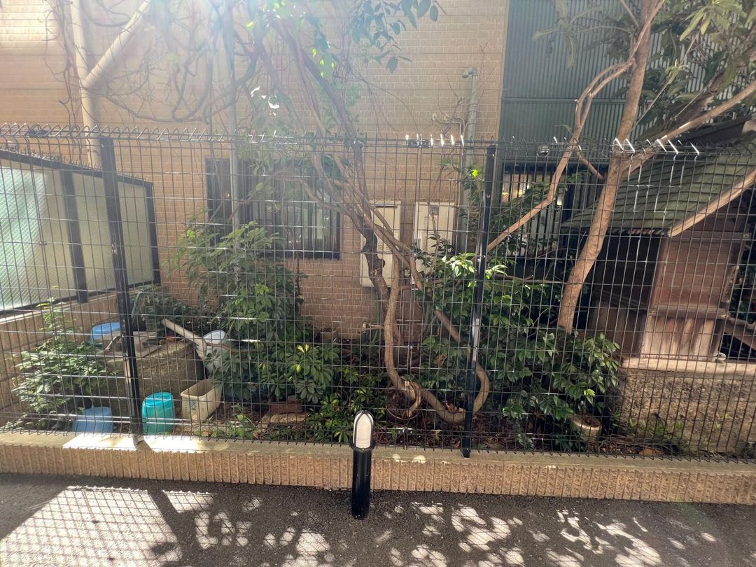 Land for Sale in Taito, Tokyo - 16.9 sqm Plot with Well and Shrine - Thumbnail 4