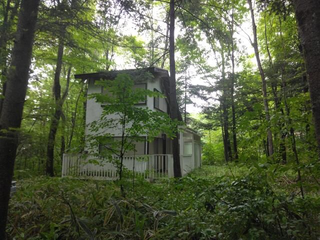 Compact Vacation Home with Stream in Tsumagoi, Gunma for 860,000 JPY - Thumbnail 2
