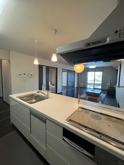 4SLDK Custom Home with Sky Balcony & 3 Car Parking in Nagoya - Thumbnail 3