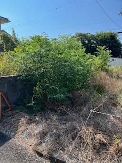 Vacant Land with Sea Views in Hagi, Yamaguchi - 26.99 Tsubo - Thumbnail 4