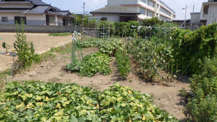 Vacant Land for Sale in Masuda, Shimane - 251 sqm Storage Yard - Thumbnail 3