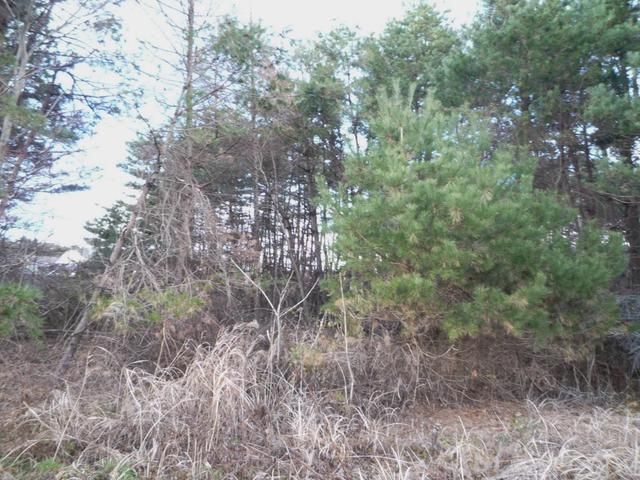 Vacant Land for Materials Storage Yard in Kaminoyama, Aomori - Thumbnail 3