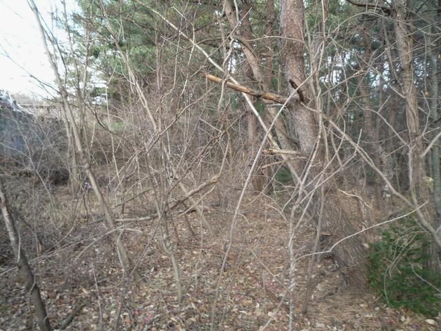 Vacant Land for Materials Storage Yard in Kaminoyama, Aomori - Thumbnail 2