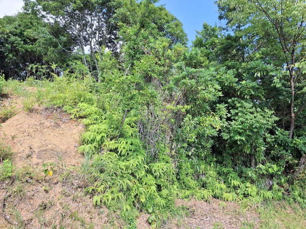 Vacant Villa Land for Sale in Miyazaki City, Near the Sea - Thumbnail 2