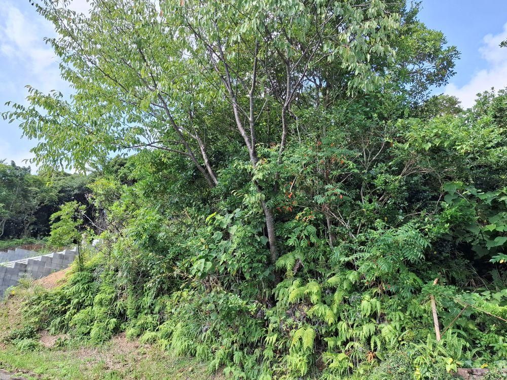 Vacant Villa Land for Sale in Miyazaki City, Near the Sea - Thumbnail 4