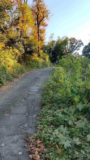 Land for Sale in Hachioji, Tokyo - Materials Storage Site - Thumbnail 2