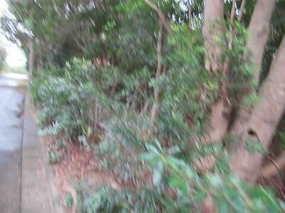 Property in Susami, Japan