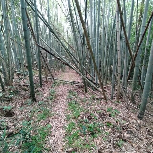 666.99 Tsubo Land for Sale in Kizugawa, Kyoto - Thumbnail 2