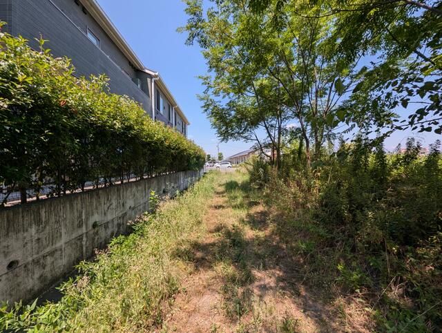 240 sqm Farmland for Sale in Kōnan City, Aichi Prefecture - Thumbnail 4