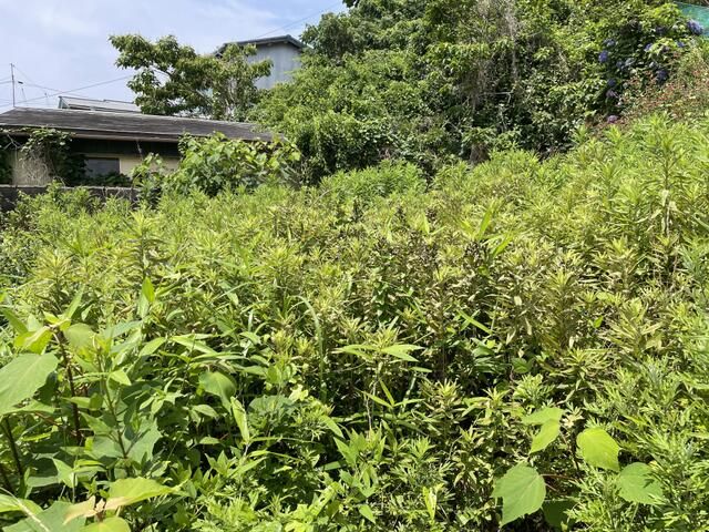 Agricultural Land for Sale in Wagu, Shima City, Mie - Thumbnail 4