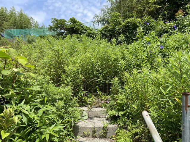 Agricultural Land for Sale in Wagu, Shima City, Mie - Thumbnail 2