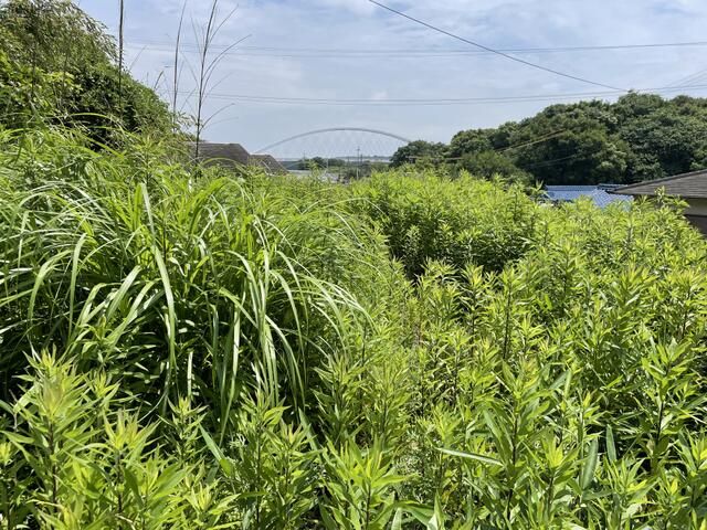 Agricultural Land for Sale in Wagu, Shima City, Mie - Thumbnail 3