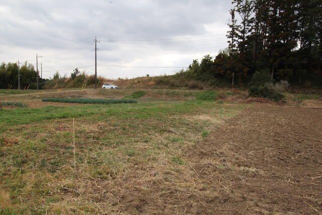 198 sqm Farmland for Sale in Mihomura, Ibaraki - Ideal for Gardening - Thumbnail 2