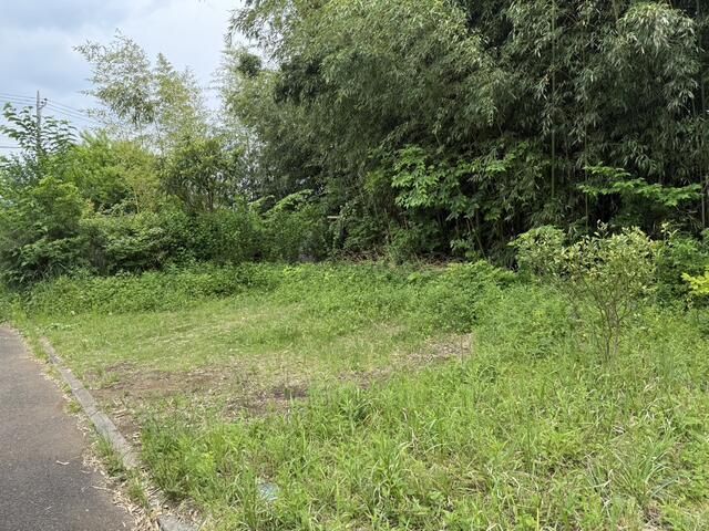 Agricultural Land for Sale in Fujisawa, Kanagawa - 83 sqm Plot - Thumbnail 3