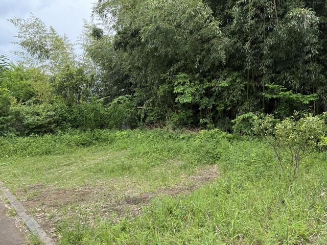 Agricultural Land for Sale in Fujisawa, Kanagawa - 83 sqm Plot - Thumbnail 2