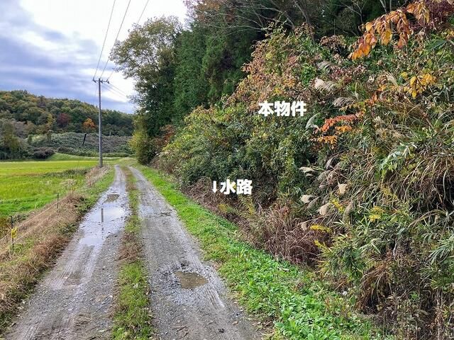 851.84 Tsubo Forest Land for Sale in Yabuki, Fukushima - Thumbnail 4