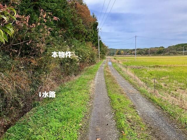 851.84 Tsubo Forest Land for Sale in Yabuki, Fukushima - Thumbnail 2