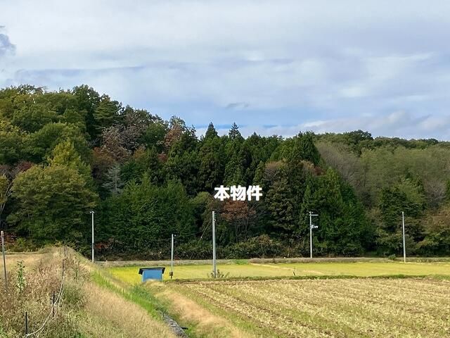 851.84 Tsubo Forest Land for Sale in Yabuki, Fukushima - Thumbnail 3