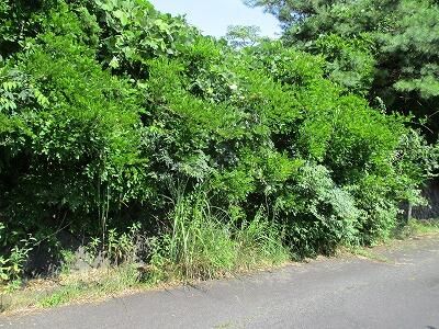 Residential Land for Sale in Uda, Nara - 234 sqm Vacant Lot - Thumbnail 2