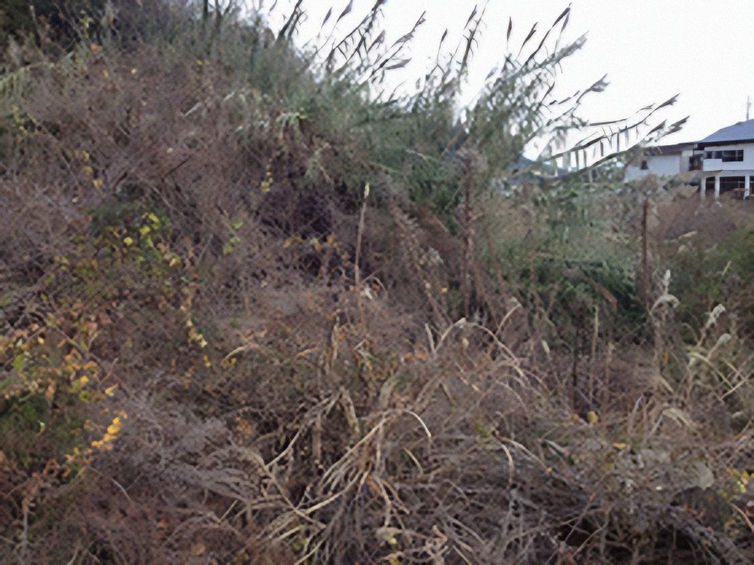 1,071 sqm Land for Sale in Kure, Hiroshima - Agricultural Land Law - Thumbnail 2