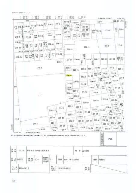 330 sqm Forest Land for Sale in Nasushiobara, Tochigi - Thumbnail 3