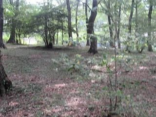 Vacant Land for Sale in Kamikambai, Midori City, Gunma - Thumbnail 4