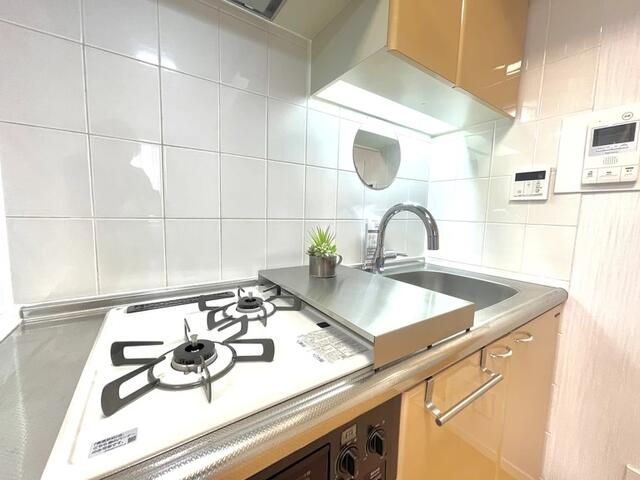 Renovated 1R Apartment near Ogikubo Station, Suginami - Thumbnail 3