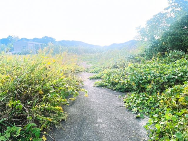 48 sqm Forest Land for Sale in Munakata, Fukuoka - Thumbnail 2