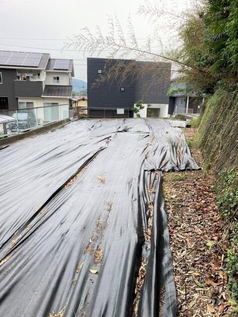 Farmland for Sale in Matsuyama, Ehime - 335.76 sqm Plot - Thumbnail 2