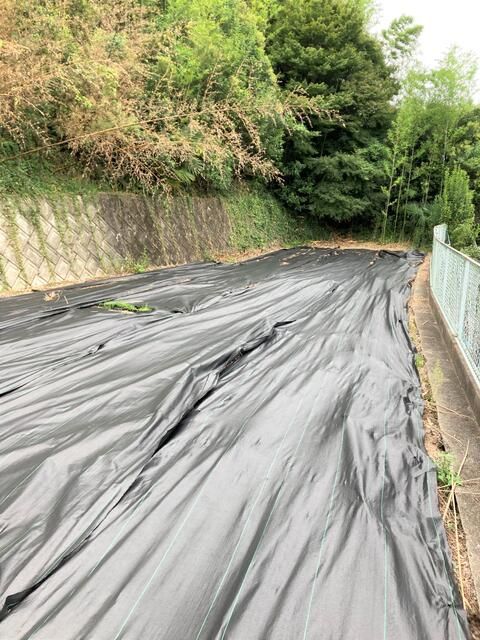 Farmland for Sale in Matsuyama, Ehime - 335.76 sqm Plot - Thumbnail 4