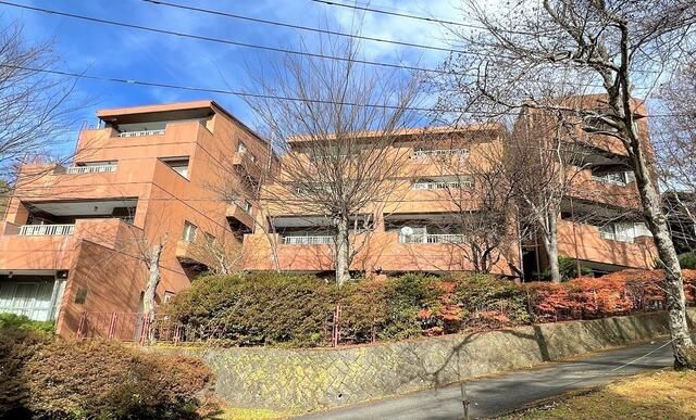 Forest Condo with Mount Fuji Views in Yamanakako Village - Thumbnail 4