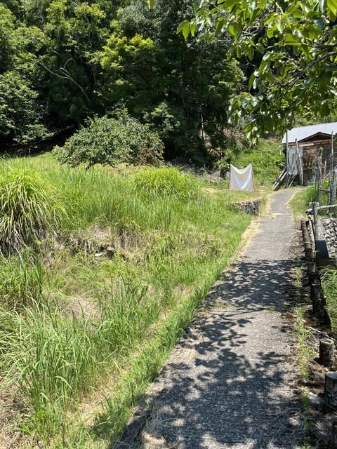 Land for Sale in Nantan, Kyoto with Field and Solar Potential - Thumbnail 4