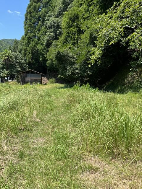 Land for Sale in Nantan, Kyoto with Field and Solar Potential - Thumbnail 3