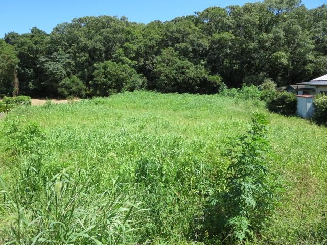 Land for Sale in Shintomi, Miyazaki - 1027 sq m Near Lake Mizugami - Thumbnail 3